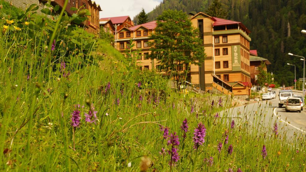Ayder Resort Hotel Різе Екстер'єр фото